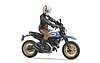 Scrambler Ducati Desert Sled including rider