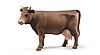 Cow 1 pcs (head right, head down or head left)