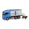 Scania R-Series livestock transporter with one cow