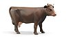Cow 1 pcs (head right, head down or head left)